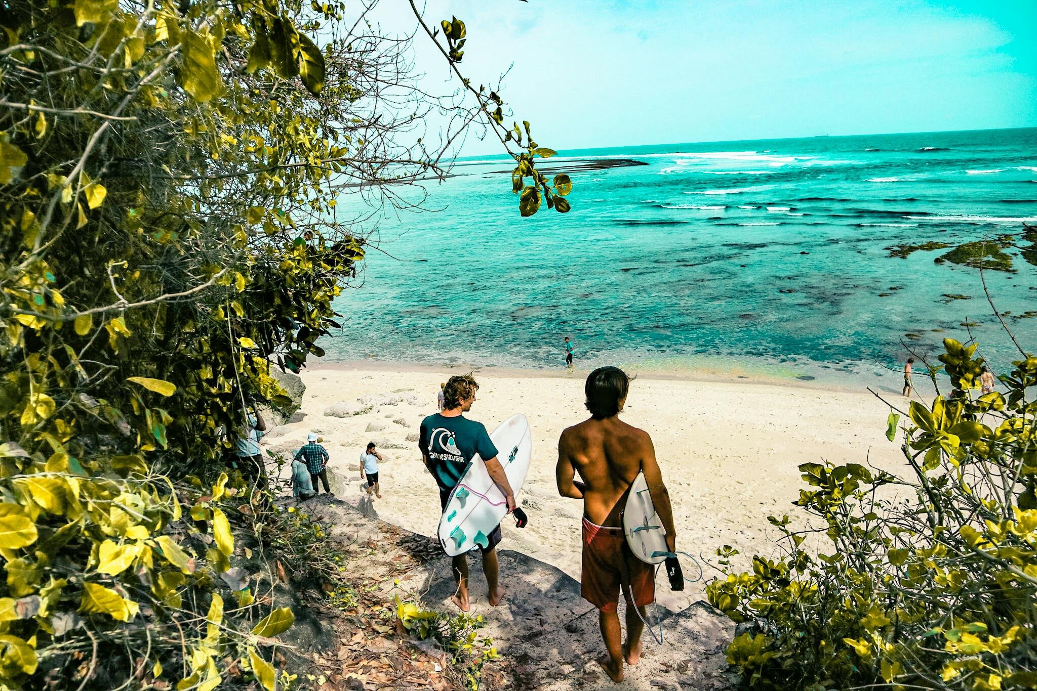 Blog — Big Wave Dave Surf & Coffee